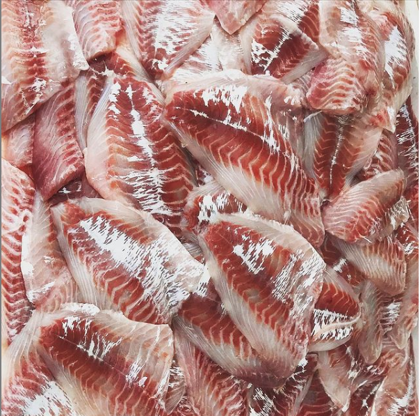 many raw pink and white fresh raw fish fillets
