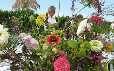 SFEE Pot Luck at North Fork Flower Farm